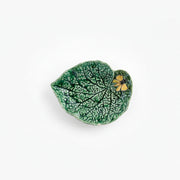 Begonia Leaf with Butterfly