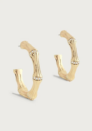 Bamboo Medium Gold Hoop Earrings