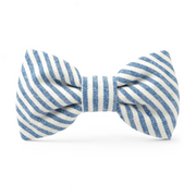 Bow Tie