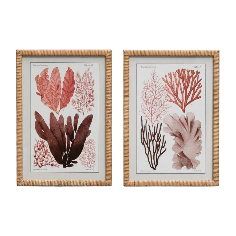 Framed Coral Design in Rattan Frame Set of 2