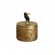 Golden Toucan Box