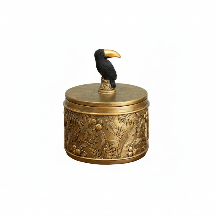 Golden Toucan Box